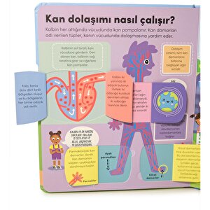 Keşif zamanı serisi- İnsan vücudu Keşif zamanı serisi- İnsan vücudu