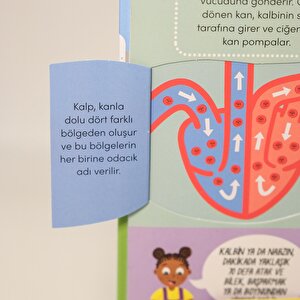 Keşif zamanı serisi- İnsan vücudu Keşif zamanı serisi- İnsan vücudu