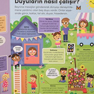 Keşif zamanı serisi- İnsan vücudu Keşif zamanı serisi- İnsan vücudu