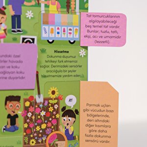 Keşif zamanı serisi- İnsan vücudu Keşif zamanı serisi- İnsan vücudu