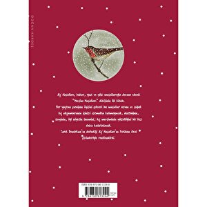 Kış Masalları Kış Masalları