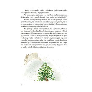 Kış Masalları Kış Masalları