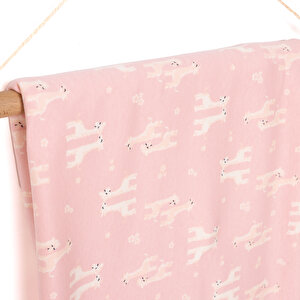 Kız Battaniye Kız Bebek