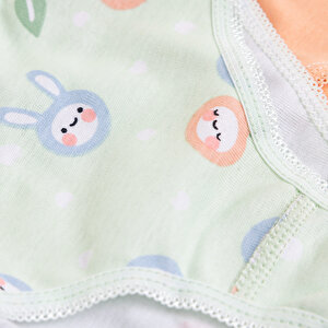 Kız Bebek 3lü Slip Külot