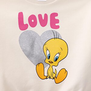 Kız Bebek Eşofman Takımı Üç İplik Bisiklet Yaka Uzun Kol Ribanalı Paça