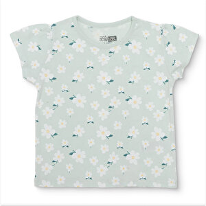 HelloBab  Multicolour   |, 18 AY-2 Yaş