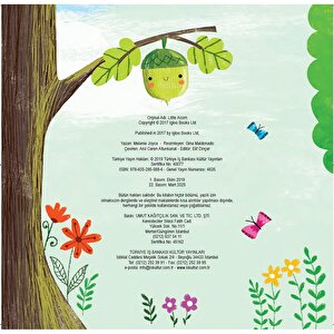 KÜÇÜK MEŞE PALAMUDU KÜÇÜK MEŞE PALAMUDU