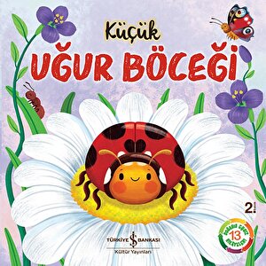 Küçük Uğur Böceği