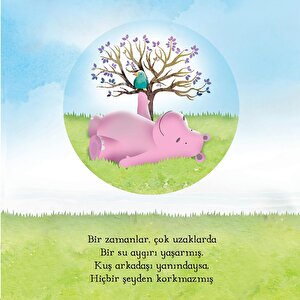 Kuş ve Su Aygırı Kuş ve Su Aygırı