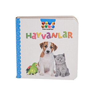 Kutu kutu kavramlar Kutu kutu kavramlar