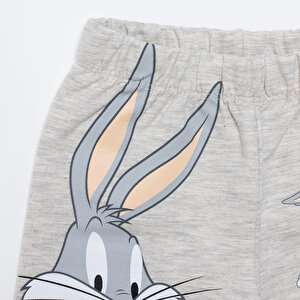 Looney Tunes Şort