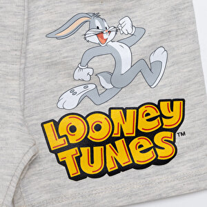 Looney Tunes Şort