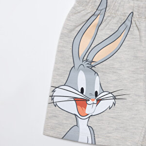Looney Tunes Şort