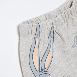 Looney Tunes Şort