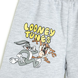 Looney Tunes Tazmanya Canavarı Şort Erkek Bebek Looney Tunes Tazmanya Canavarı Şort Erkek Bebek