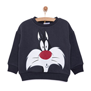 LooneyTunes Looney Tunes, Antrasit, 9 Ay