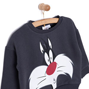LooneyTunes Looney Tunes Erkek Sweatshirt Erkek Bebek