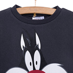 LooneyTunes Looney Tunes Erkek Sweatshirt Erkek Bebek