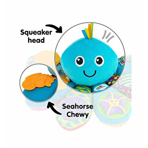 Mavi Ahtapot Mavi Ahtapot