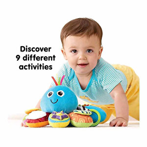 Mavi Ahtapot Mavi Ahtapot