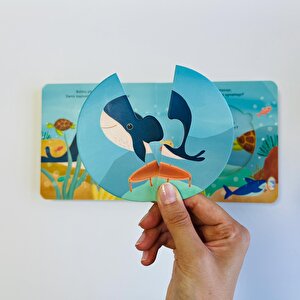 Merakımdan Soruyorum - Okyanus