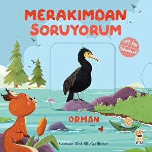 Merakımdan Soruyorum - Orman Merakımdan Soruyorum - Orman