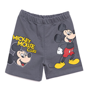 Disney Mickey Mouse Erke, Koyu Gri, 9 Ay
