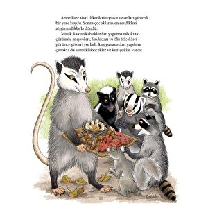 Minik Rakun Arkadaşında Yatıya Kalıyor