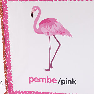 Minnak Renkler ve Şekiller Kitabı