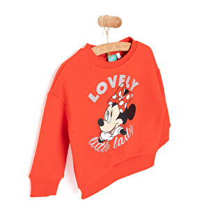 Minnie Mouse Kız Sweatshirt Kız Bebek