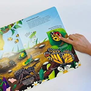 Ne Sorsan Bilir Minik - Benim İlk Böcekler Kitabım