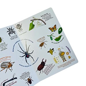 Ne Sorsan Bilir Minik - Benim İlk Böcekler Kitabım