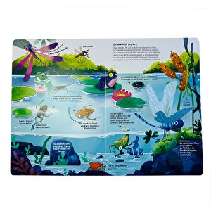 Ne Sorsan Bilir Minik - Benim İlk Böcekler Kitabım