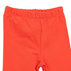 Kız Bebek Tayt Ribana Kumaş New Year Party Kırmızı Kız Bebek Tayt Ribana Kumaş New Year Party Kırmızı