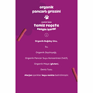 Organik Vegan Pancarlı Grissini 55 gr Organik Vegan Pancarlı Grissini 55 gr