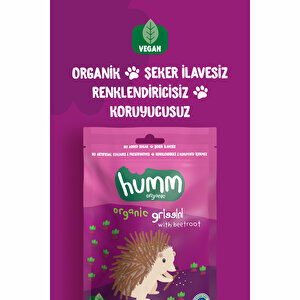 Organik Vegan Pancarlı Grissini 55 gr Organik Vegan Pancarlı Grissini 55 gr