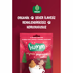 Organik Vegan Zencefilli ve Tarçınlı Kurabiye 55 gr Organik Vegan Zencefilli ve Tarçınlı Kurabiye 55 gr