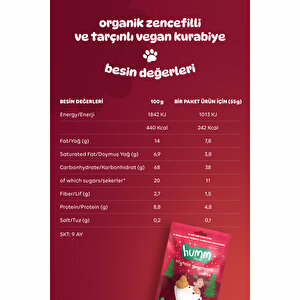 Organik Vegan Zencefilli ve Tarçınlı Kurabiye 55 gr Organik Vegan Zencefilli ve Tarçınlı Kurabiye 55 gr