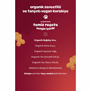 Organik Vegan Zencefilli ve Tarçınlı Kurabiye 55 gr Organik Vegan Zencefilli ve Tarçınlı Kurabiye 55 gr