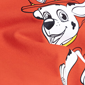 Paw Petrol Tshirt Erkek Bebek