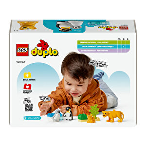 Penguen ve Aslanlar 10442