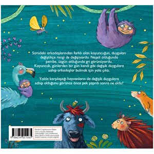 Ponpon'un Duyguları Ponpon'un Duyguları