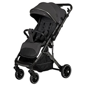 Prego Axion Çift Yönlü Bebek Arabas, Gri