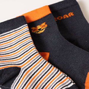 Roar Desenli 3lü Soket Çorap Erkek Bebek
