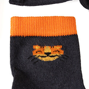 Roar Desenli 3lü Soket Çorap Erkek Bebek