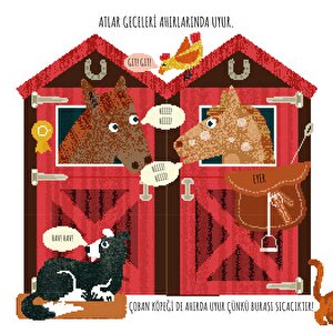 Seç - Karıştır : Meslekler