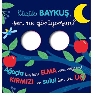 Sen Ne Görüyorsun - Küçük Baykuş (Dokun ve Hissetli) Sen Ne Görüyorsun - Küçük Baykuş (Dokun ve Hissetli)