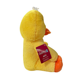 1442 Civciv 1442 Civciv