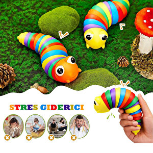 Sevimli Eğitici Tırtıl