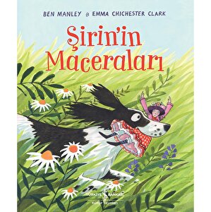 Şirin‘in Maceraları